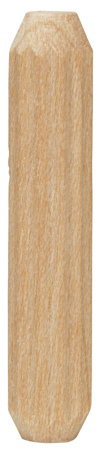 7929547.jpg