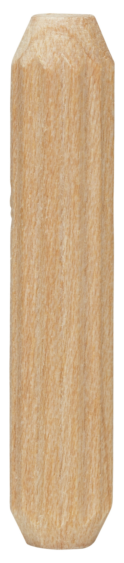 7929547.jpg