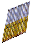 7953302.jpg