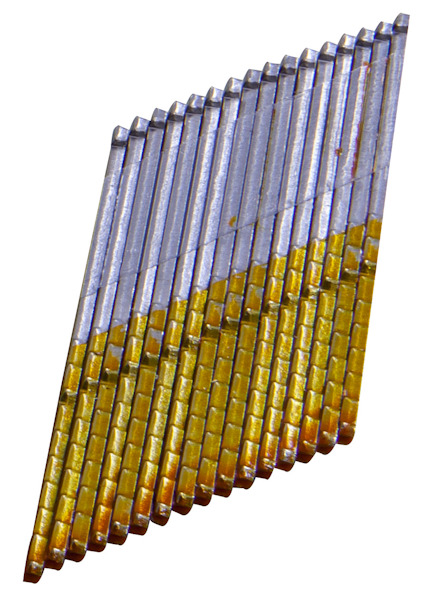 7953302.jpg