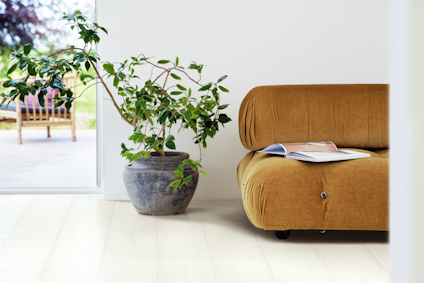 Brun soffa bredvid en krukväxt i grå kruka; en öppen bok ligger på soffan. Ljusa golv och vit vägg.