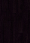 7965075.jpg
