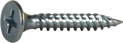 Metallskruv med korsformad skruvskalle på ljus bakgrund.