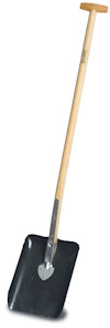 8023547.jpg