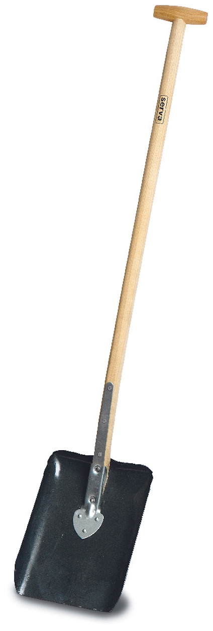 8023547.jpg