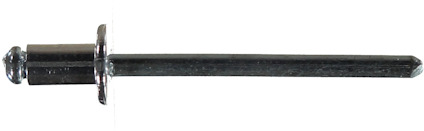 8069746.jpg