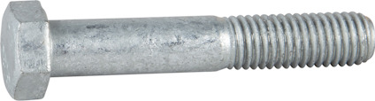 8070246.jpg