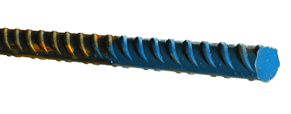8105541.jpg