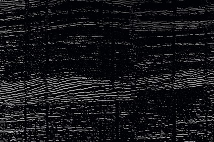 8132526.jpg