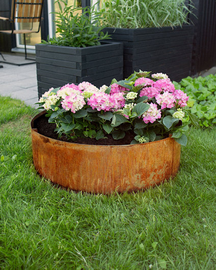 PALLKRAGE ODLA RUND OBEHANDLAD