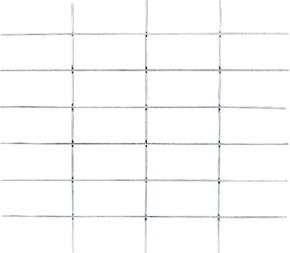 8194619.jpg