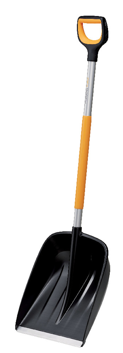 8201334.jpg