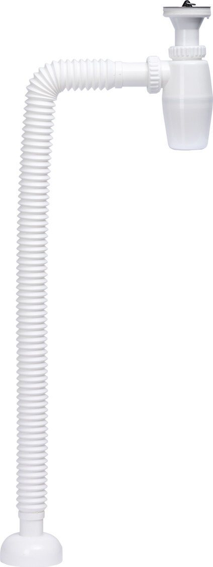 8215183.jpg